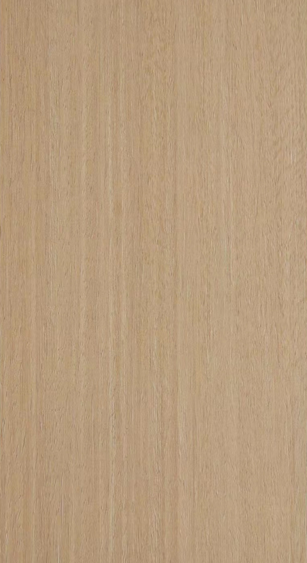 LP-002-013